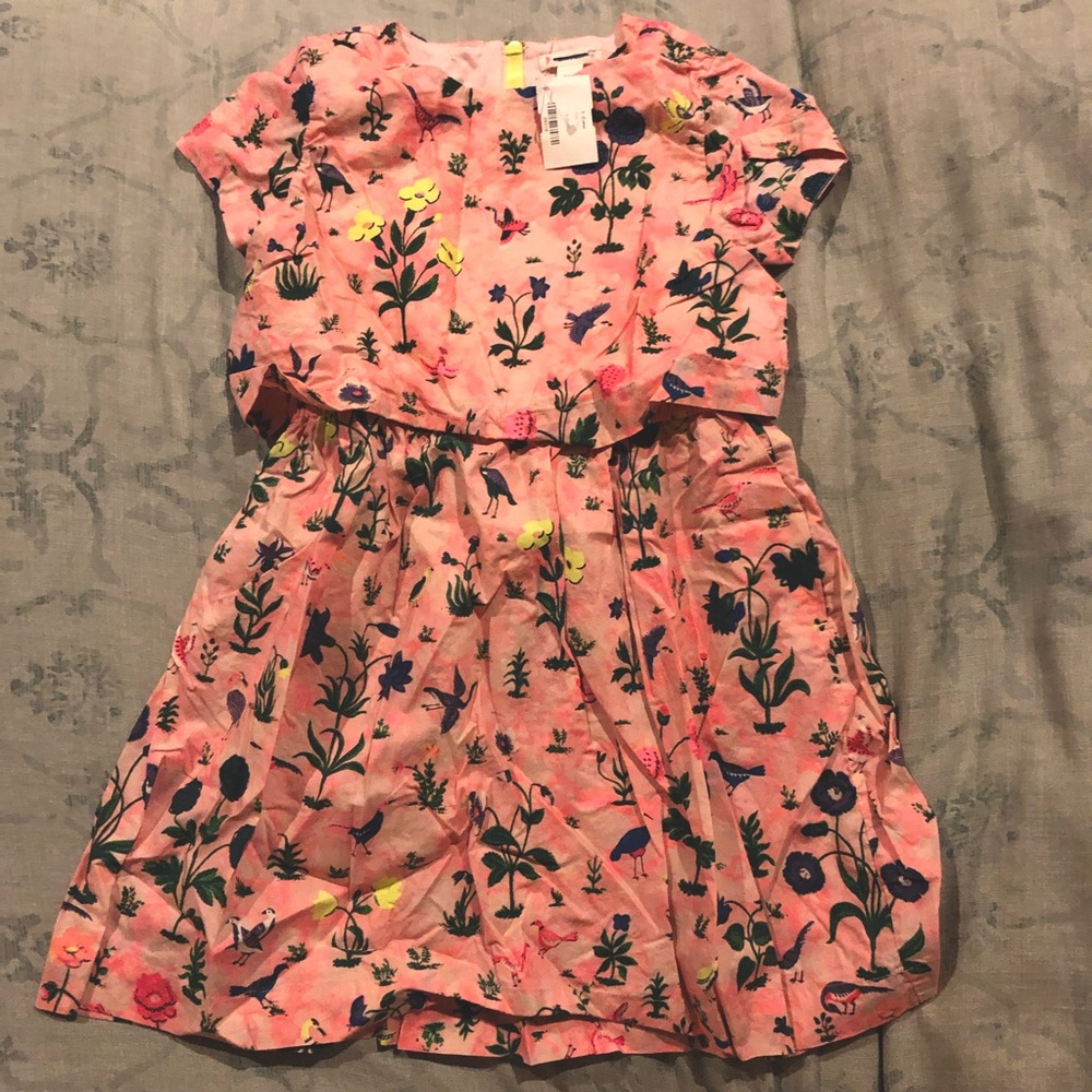 Sweet Lovely print Jcrew dress!